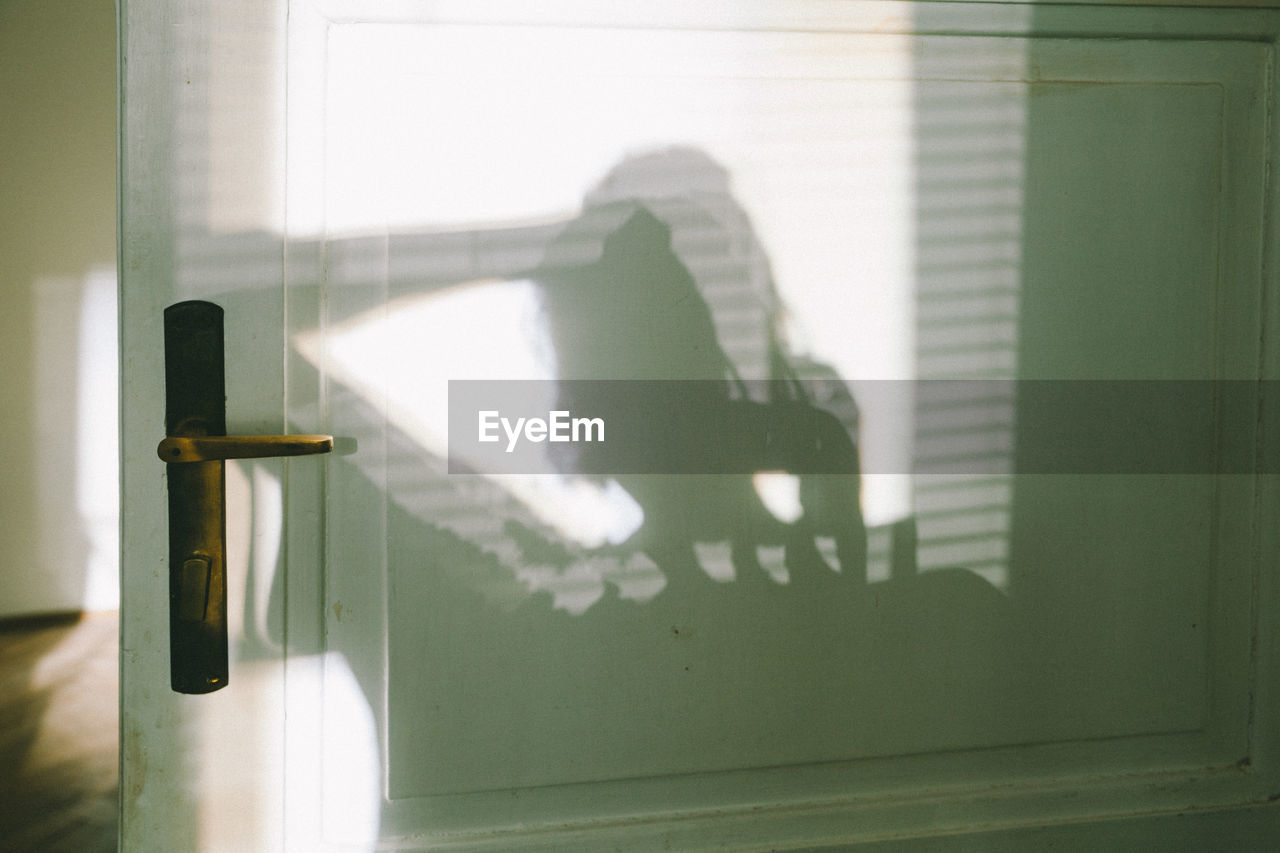 Silhouette of woman on door at home, shadow and sunlight.