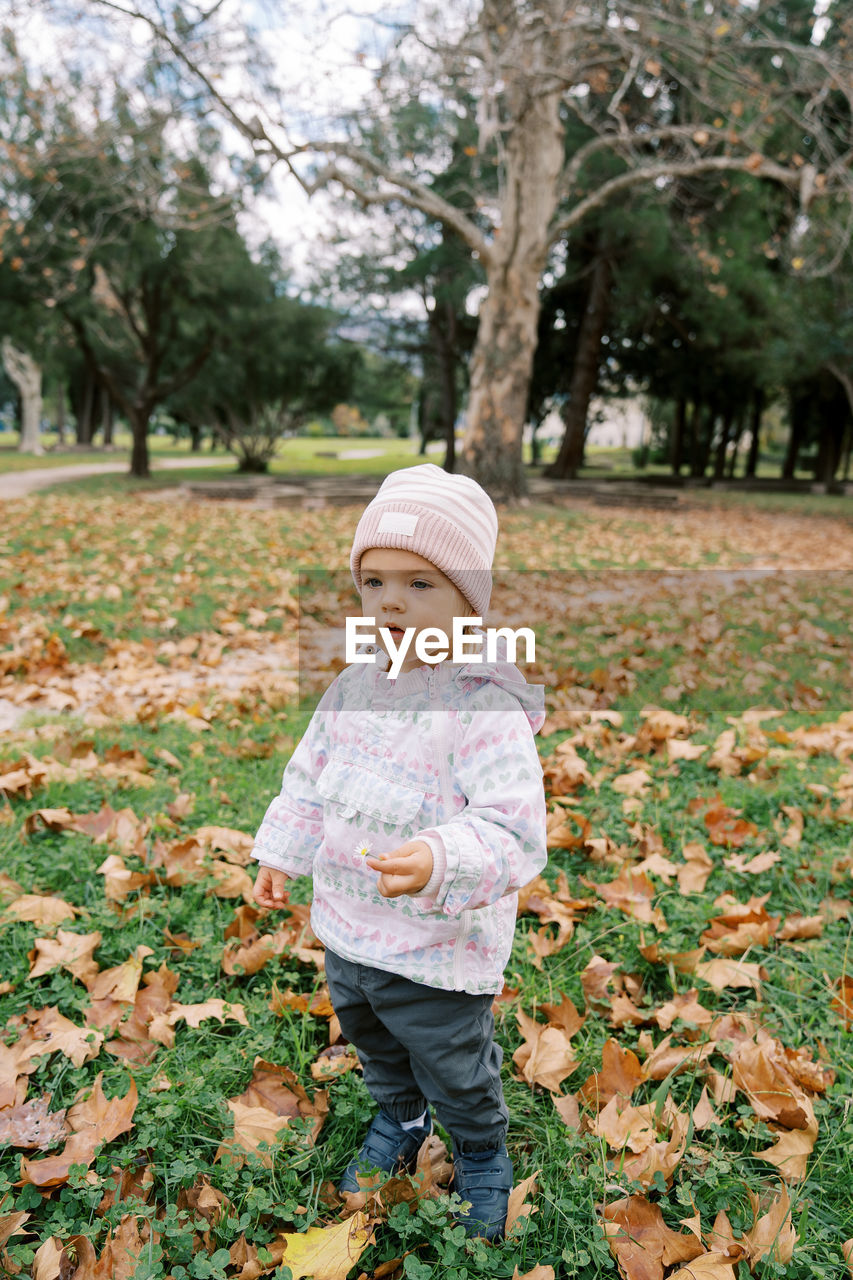 portrait of boy standing on field during autumn