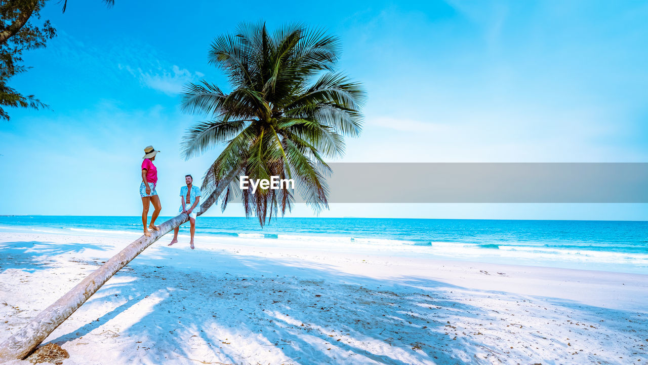 scenic view of beach against blue sky