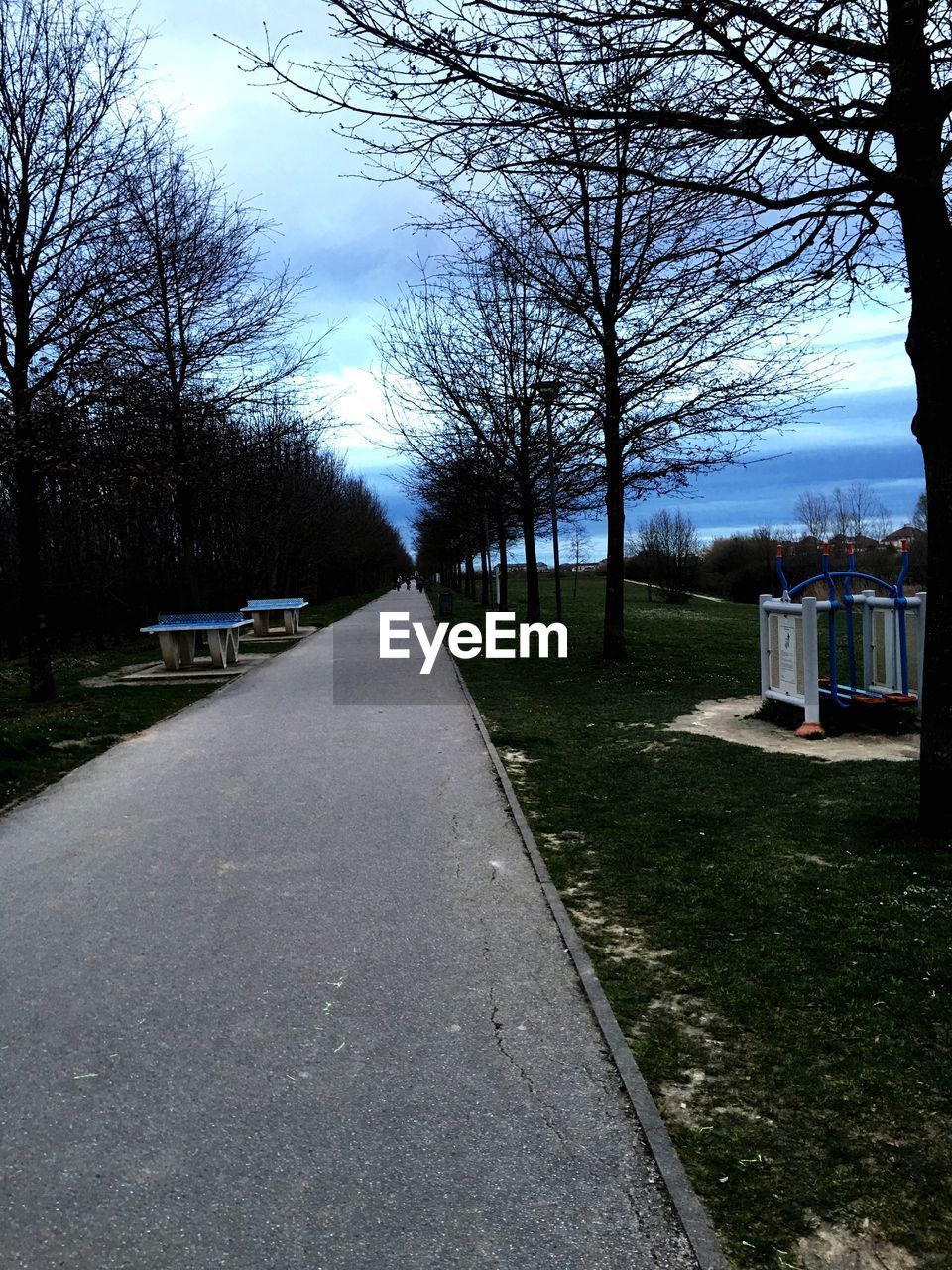 EMPTY ROAD WITH TREES IN FOREGROUND