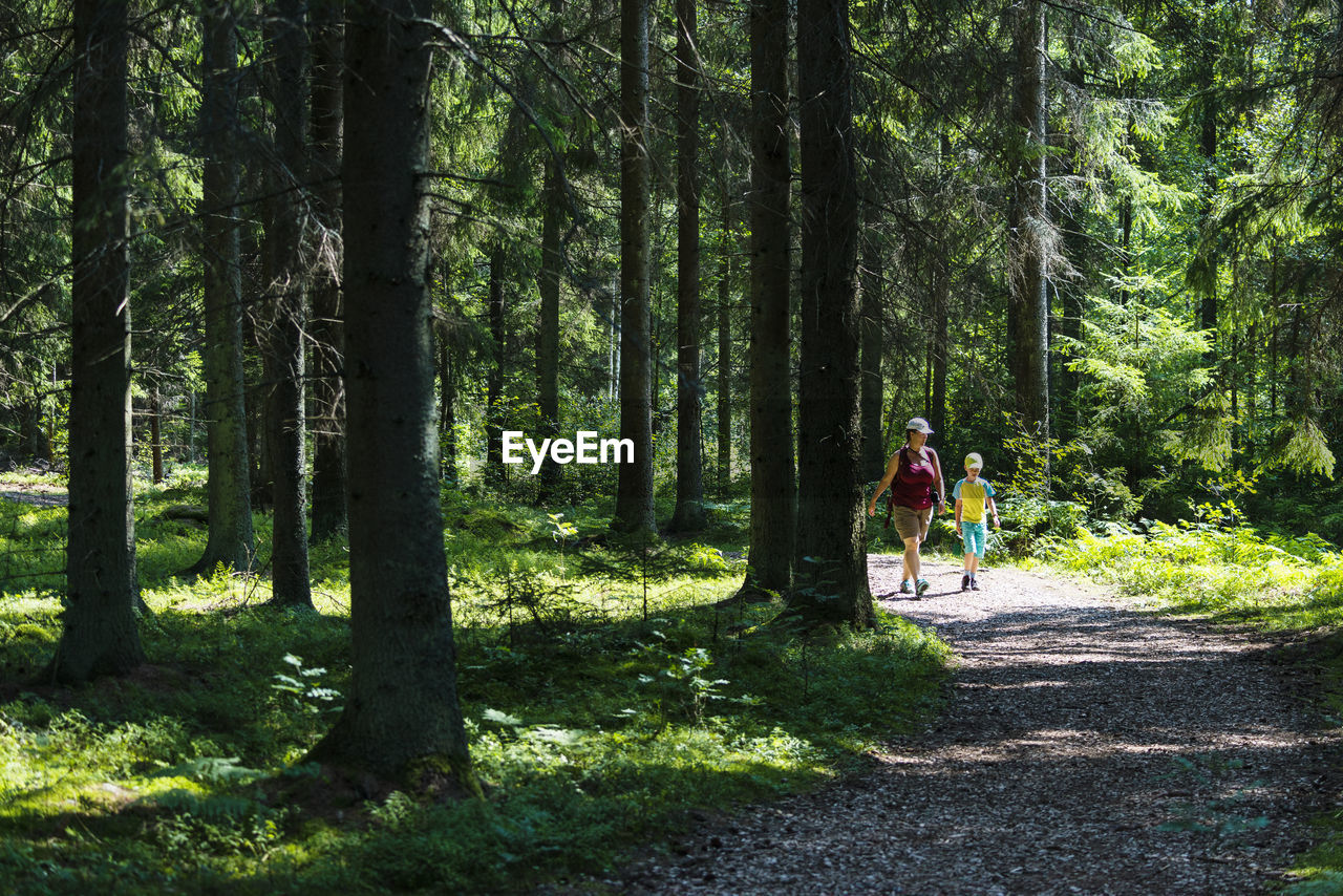 Mother with son walking through forest