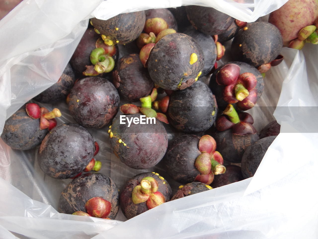Mangosteen in a plastic bag, mangosteen is the queen of fruits.