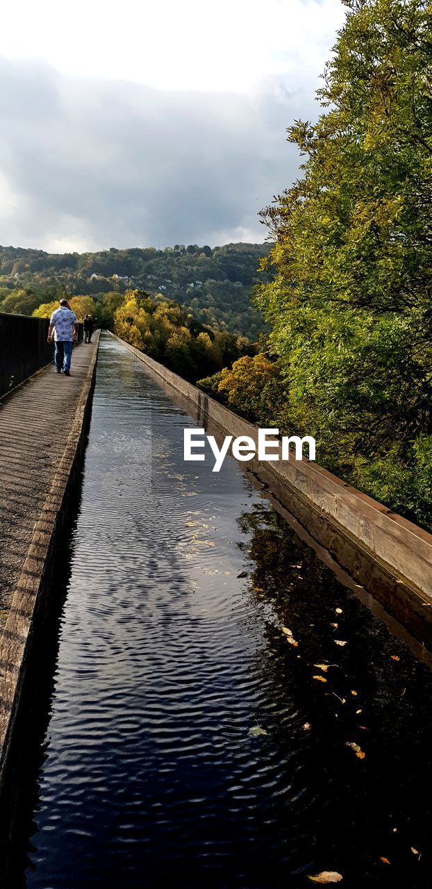 REAR VIEW OF MEN AMIDST PLANTS AGAINST SKY