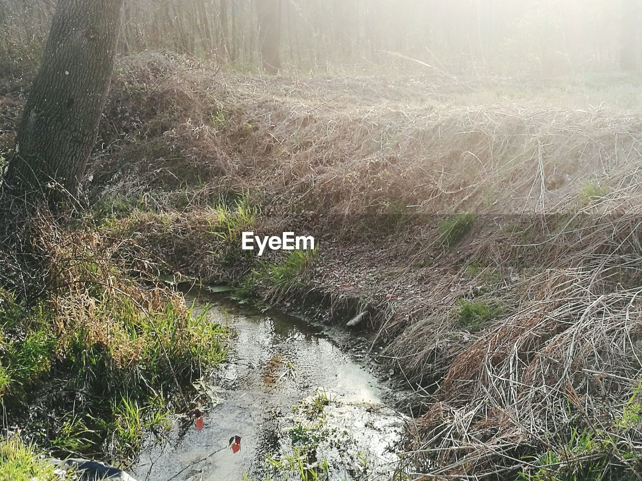 FULL FRAME SHOT OF WATER FLOWING IN BACKGROUND