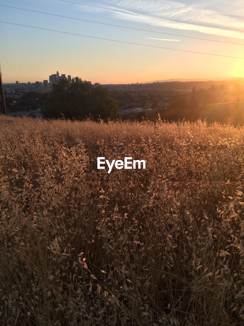 Scenic view of sunset on field against sky