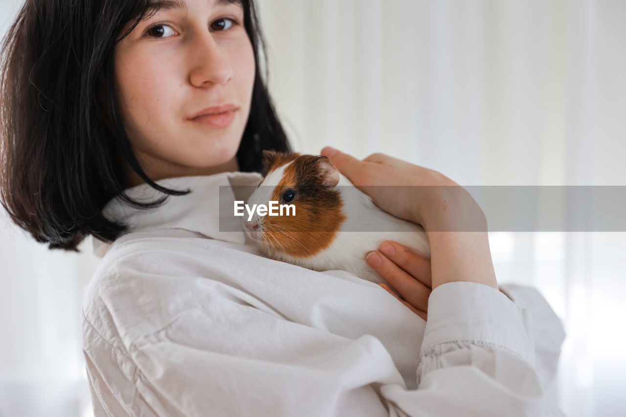 Cute guinea pig in the girl's arms, child and animal concept
