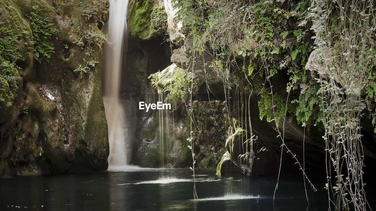 WATERFALL IN FOREST