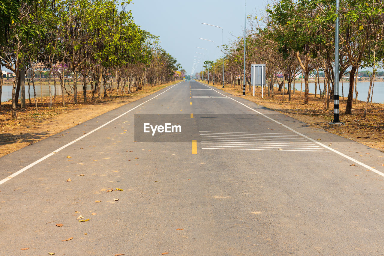 SURFACE LEVEL OF ROAD AGAINST TREES IN CITY