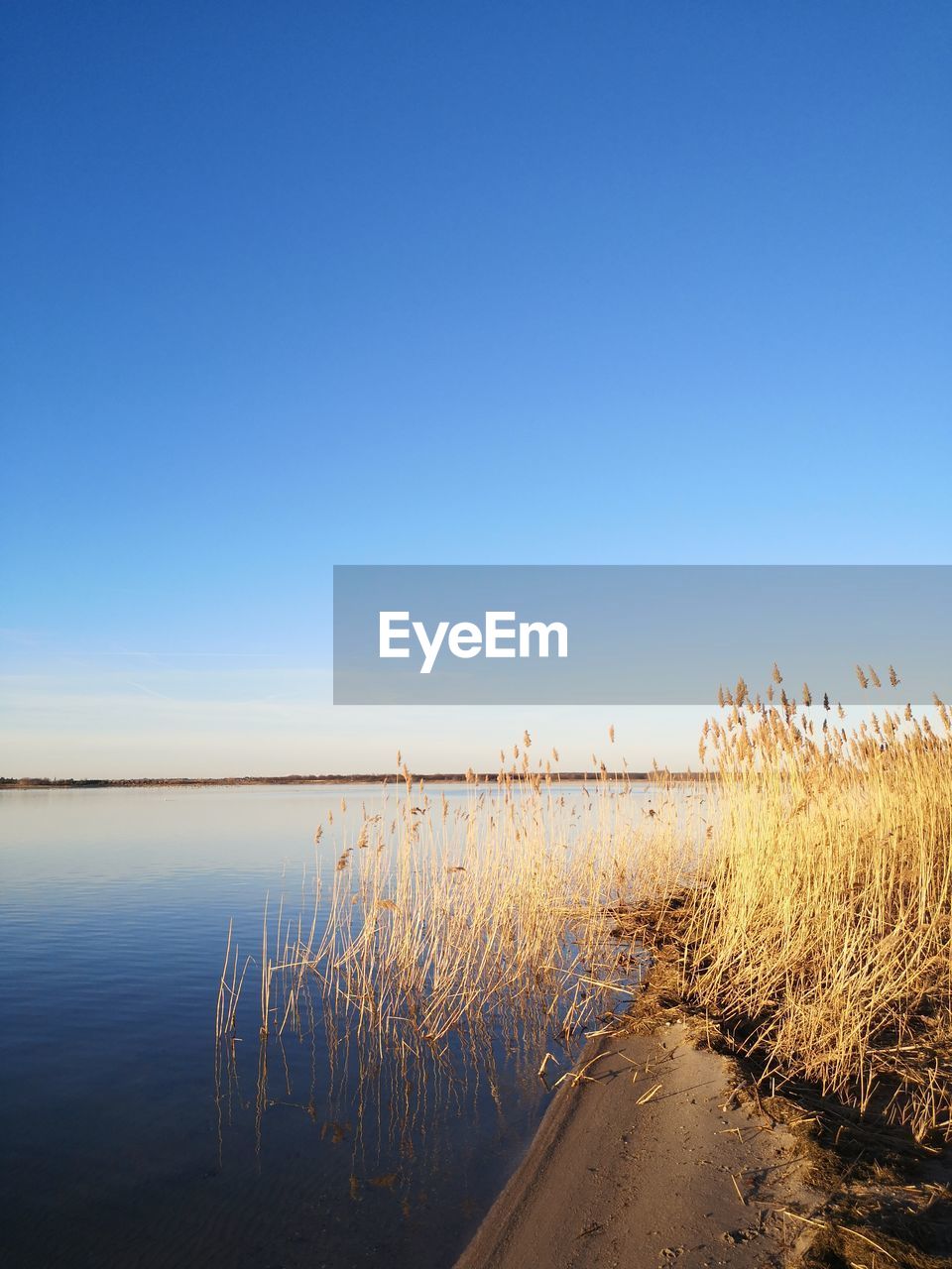 SCENIC VIEW OF CALM LAKE AGAINST CLEAR BLUE SKY