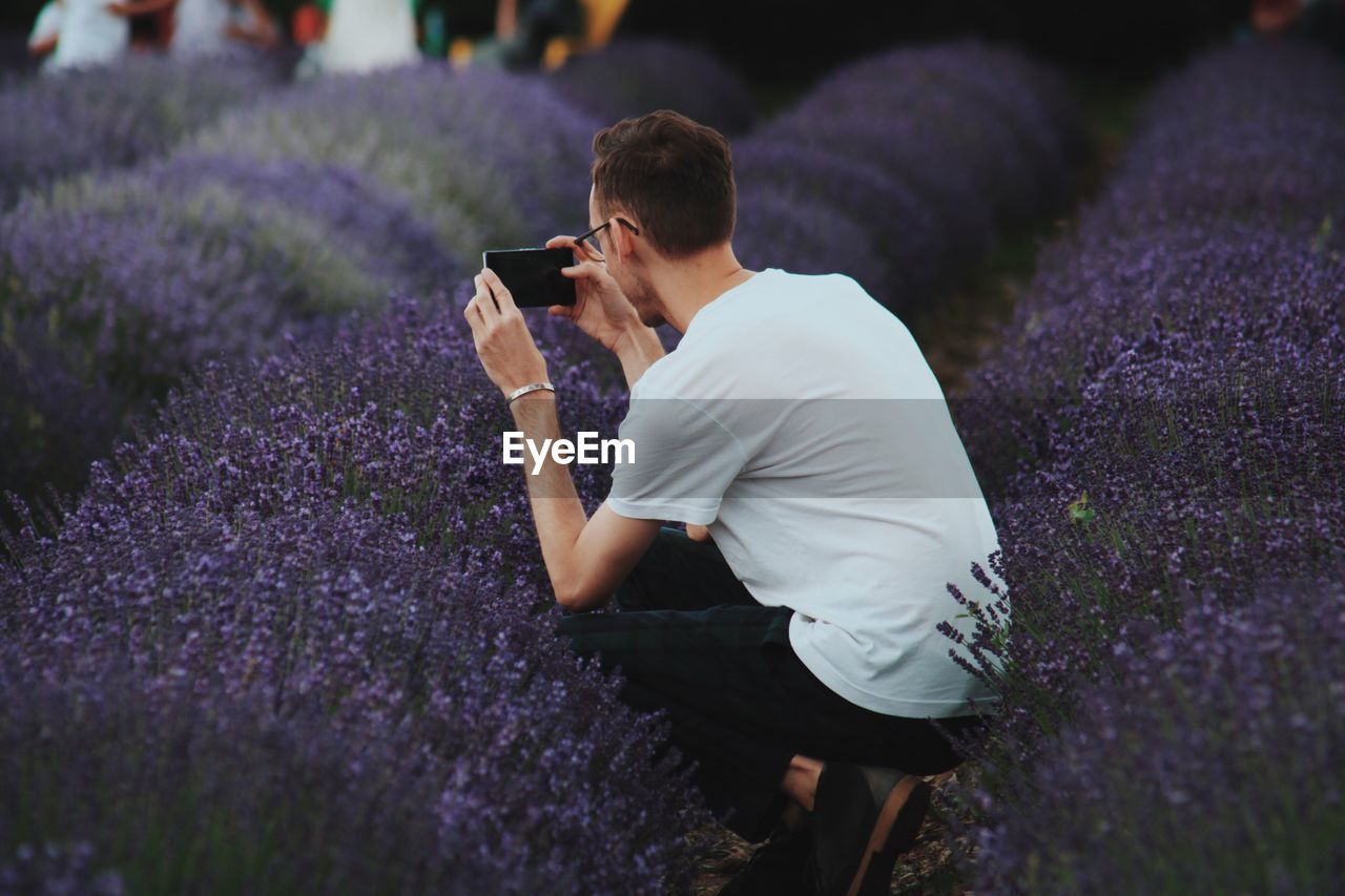 Man crouching while photographing purple lavender flowers on field