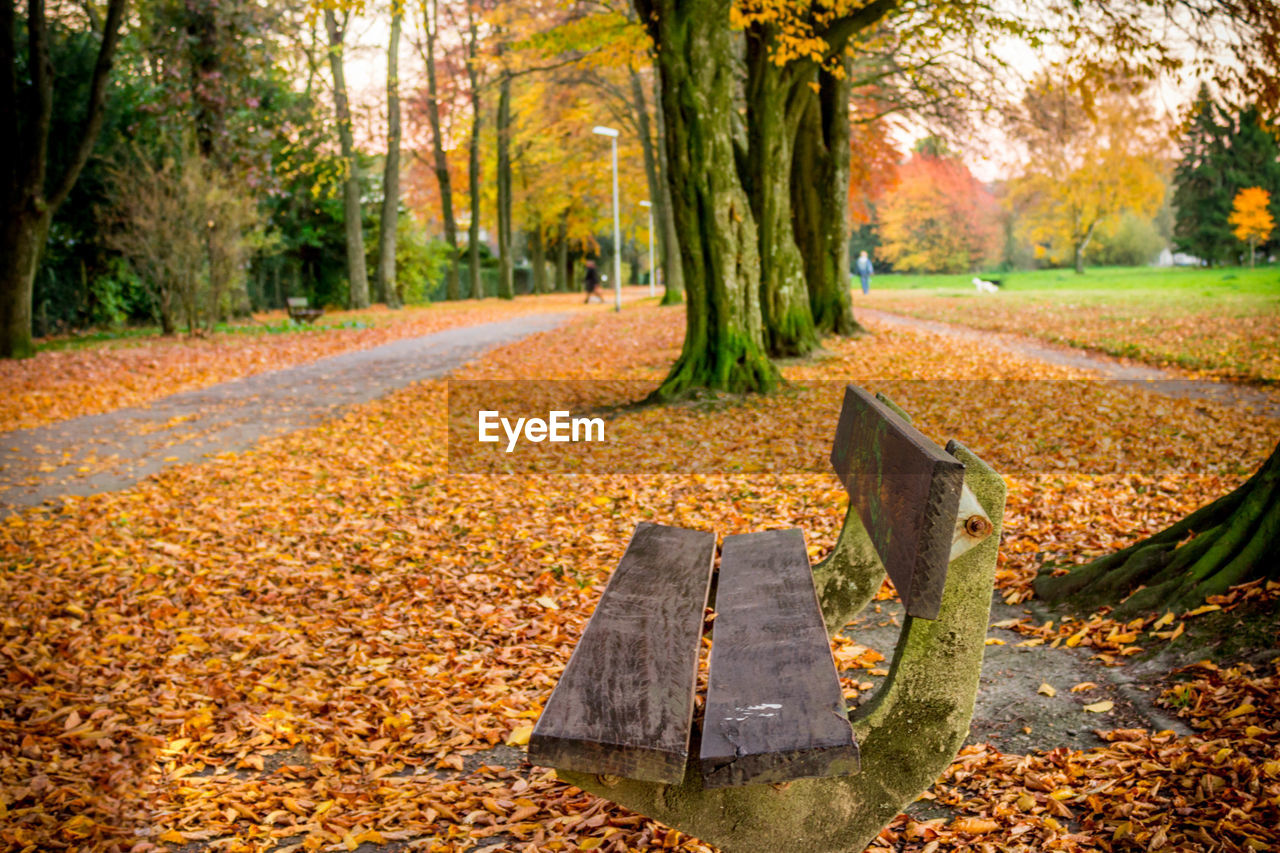 Empty bench amidst fallen autumn leaves at park