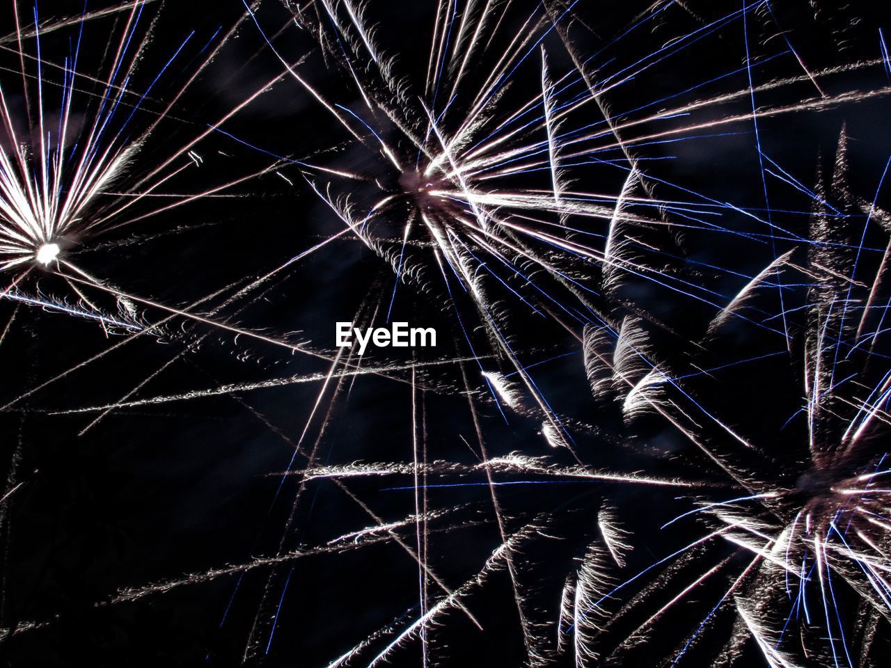 LOW ANGLE VIEW OF FIREWORK DISPLAY AGAINST SKY