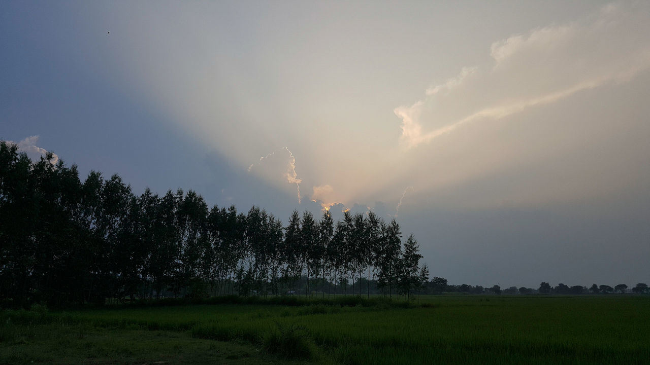 PANORAMIC VIEW OF FIELD AGAINST SKY