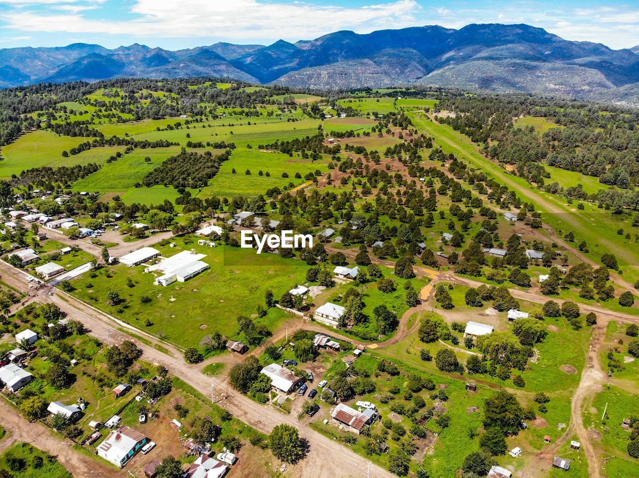 High angle view of trees and houses on field