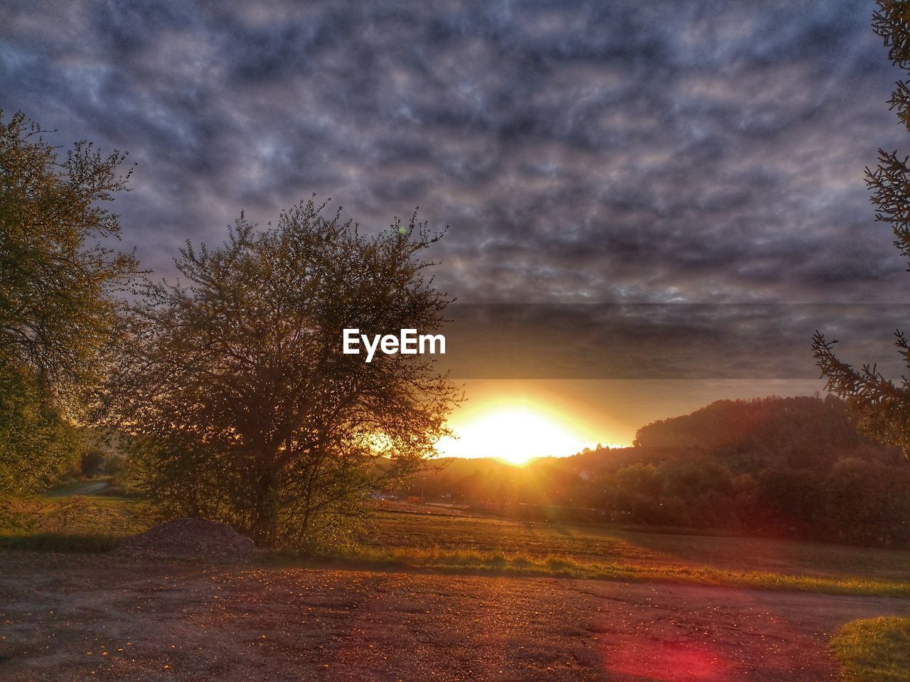 PLANTS ON FIELD AGAINST SKY DURING SUNSET