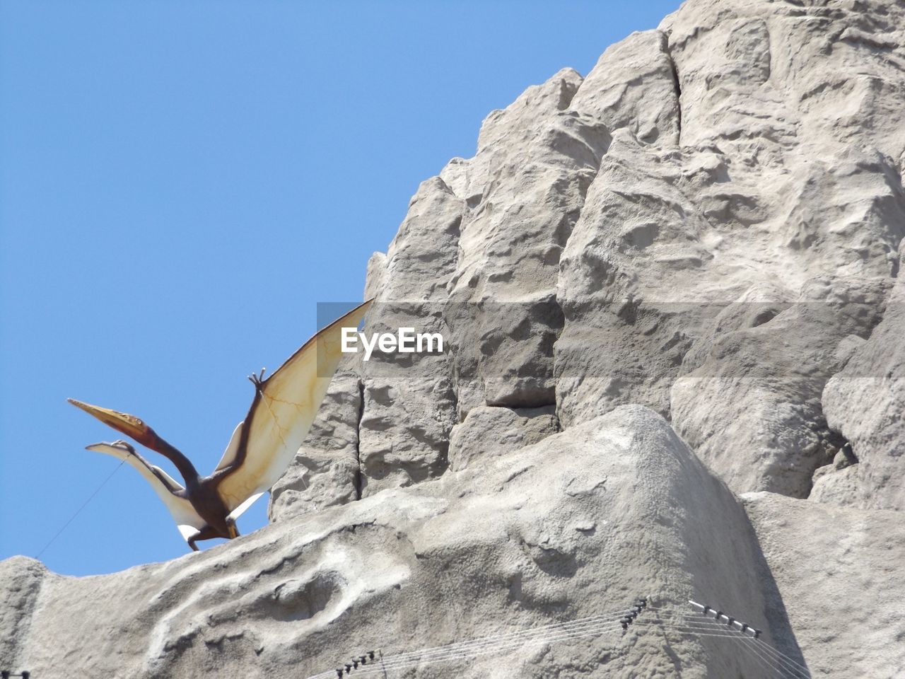 Low angle view of bird flying against clear blue sky