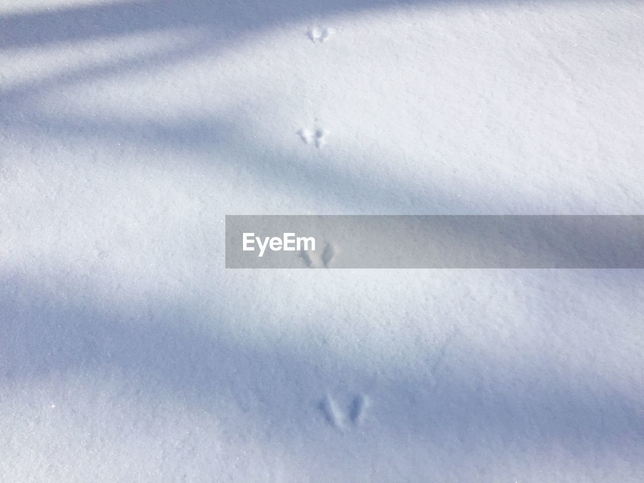 HIGH ANGLE VIEW OF FOOTPRINTS IN WINTER