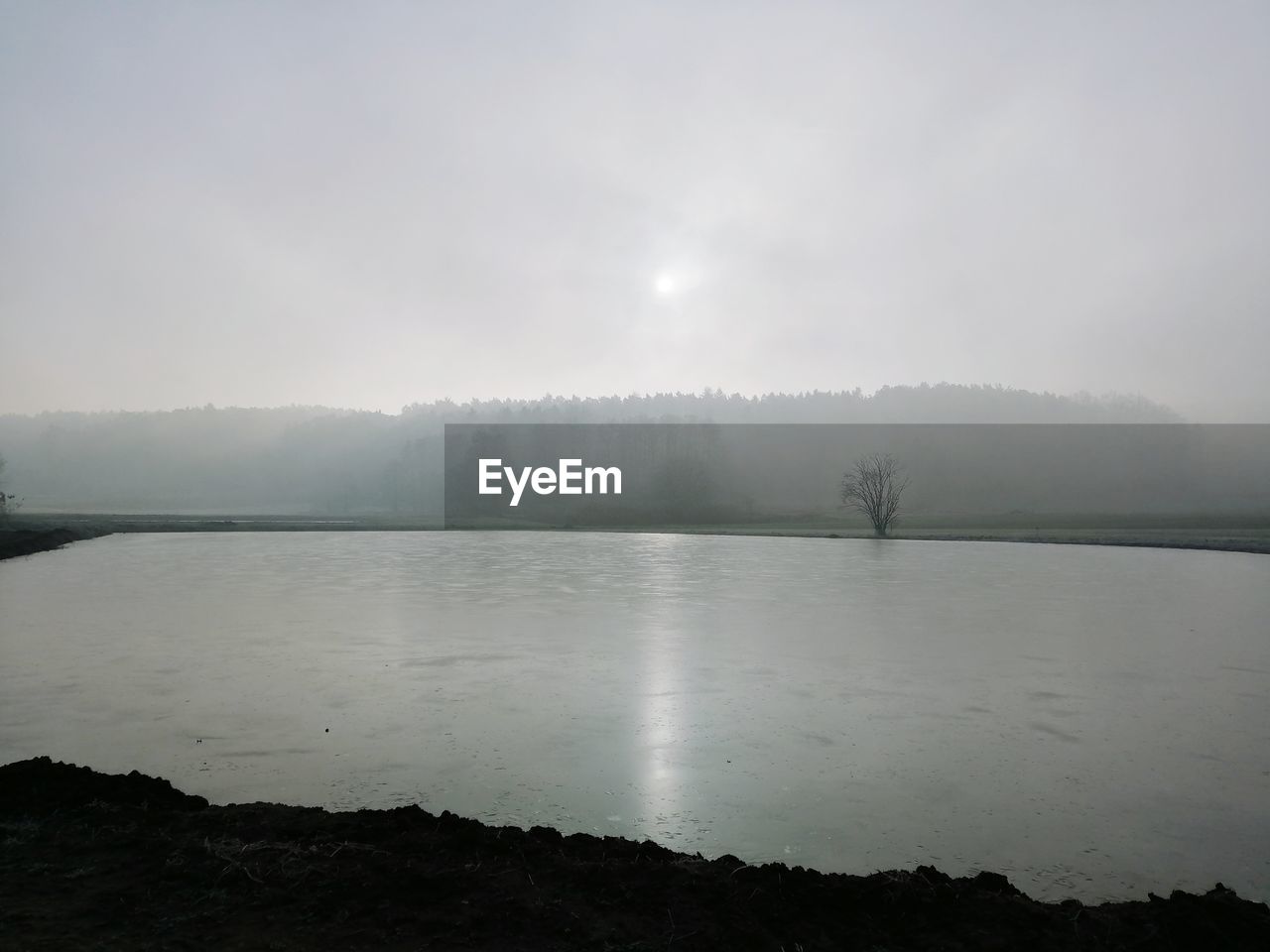 SCENIC VIEW OF LAKE BY TREES AGAINST SKY DURING FOGGY WEATHER