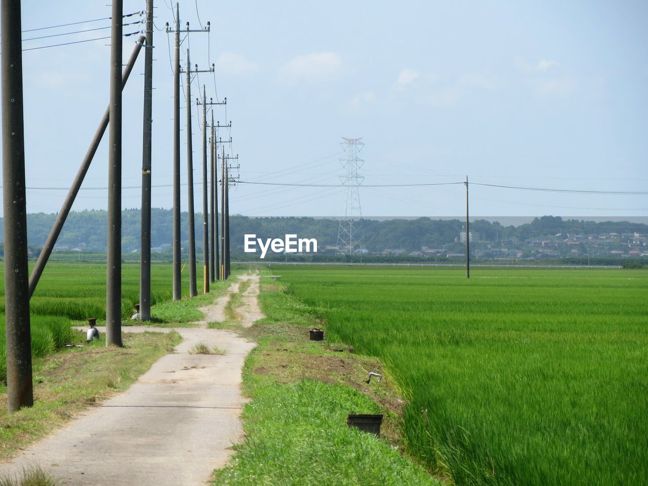 Electricity pylons by rice paddy against sky