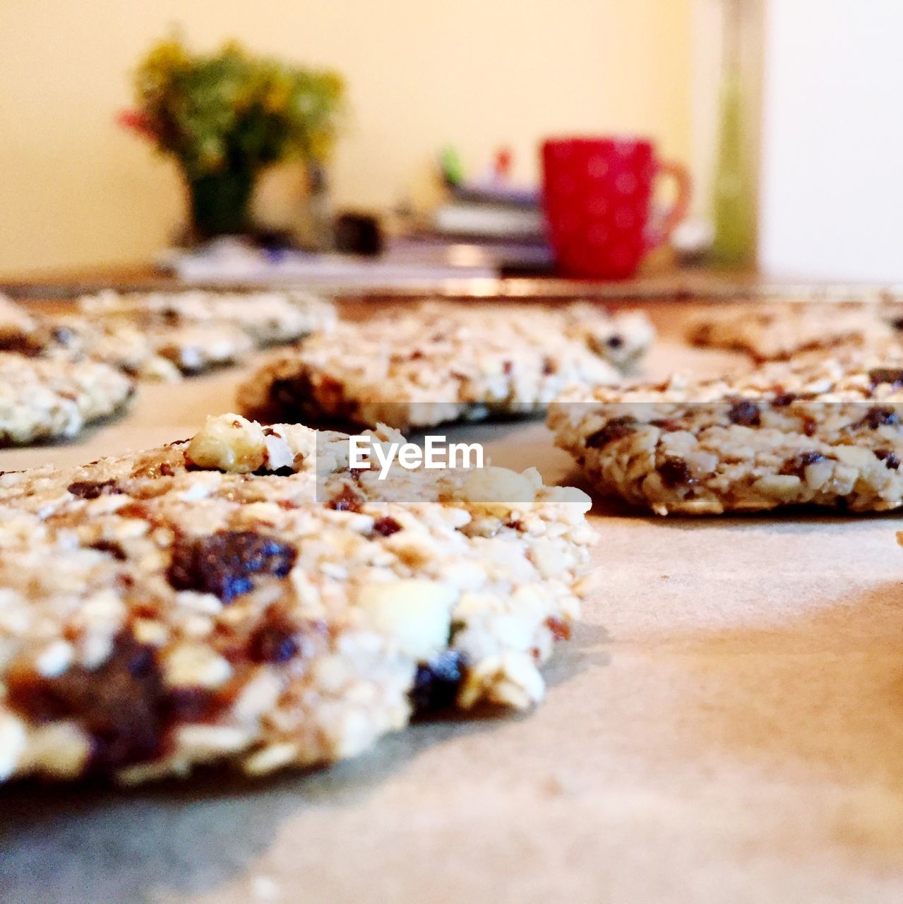 CLOSE-UP VIEW OF FOOD ON TABLE