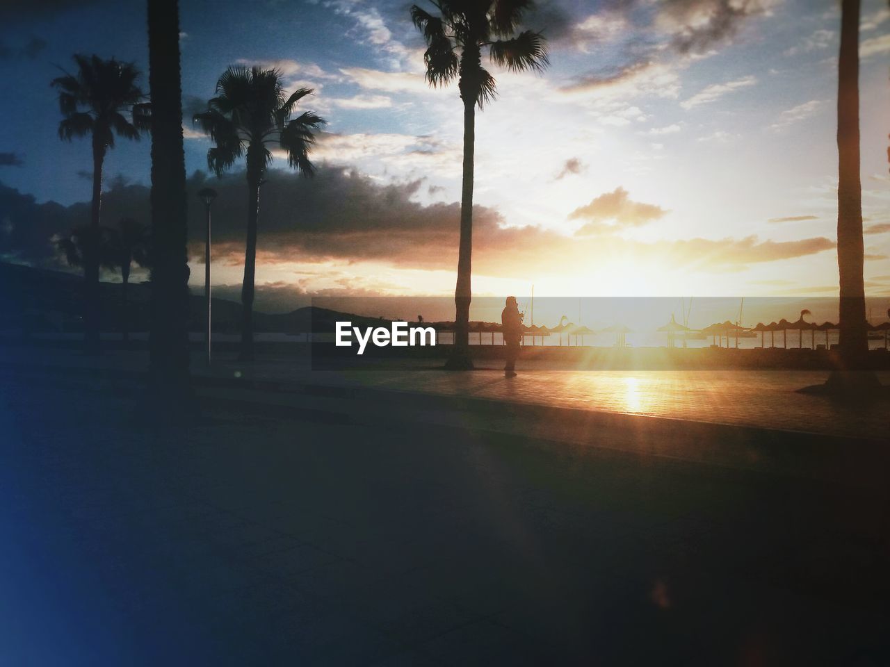 SILHOUETTE PALM TREES ON BEACH AGAINST SKY