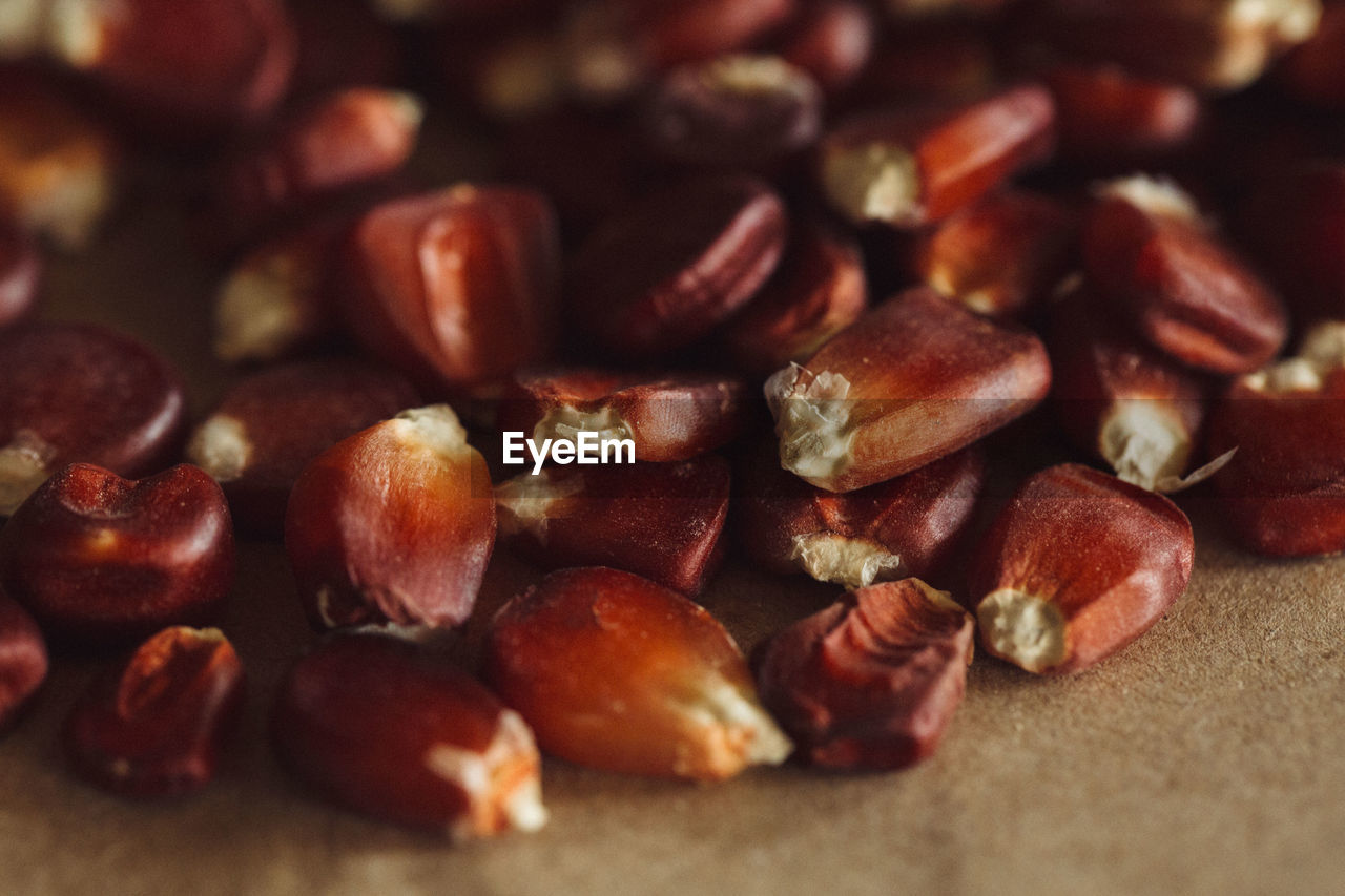 Close-up of dried food on table