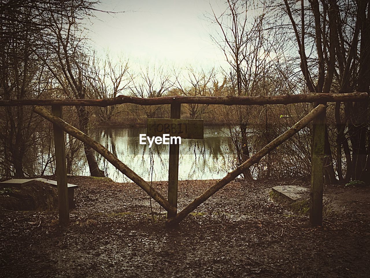 FOOTBRIDGE OVER TREES