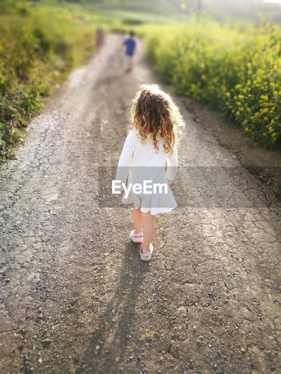 Rear view of girl walking on road amidst plants