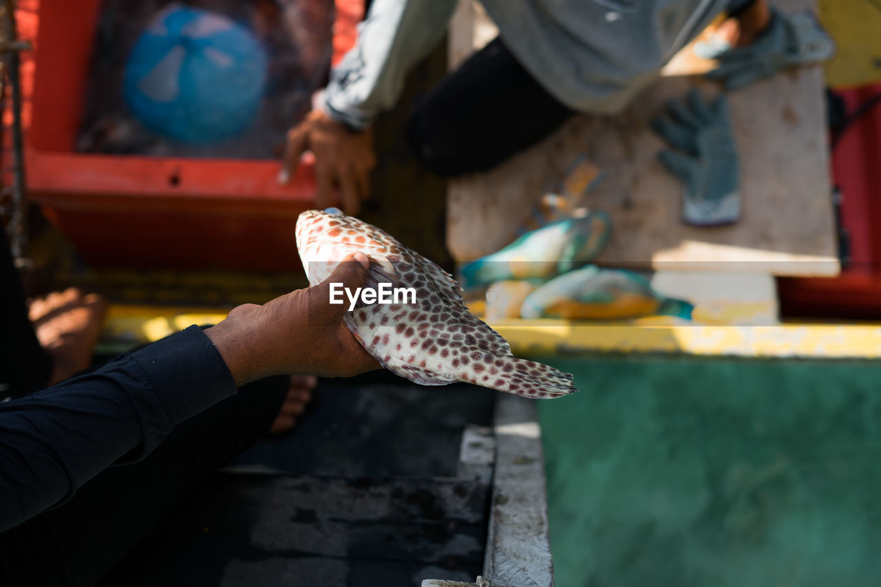 Midsection of man holding raw fish at market.