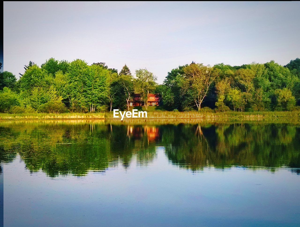 Scenic view of river and trees against clear sky