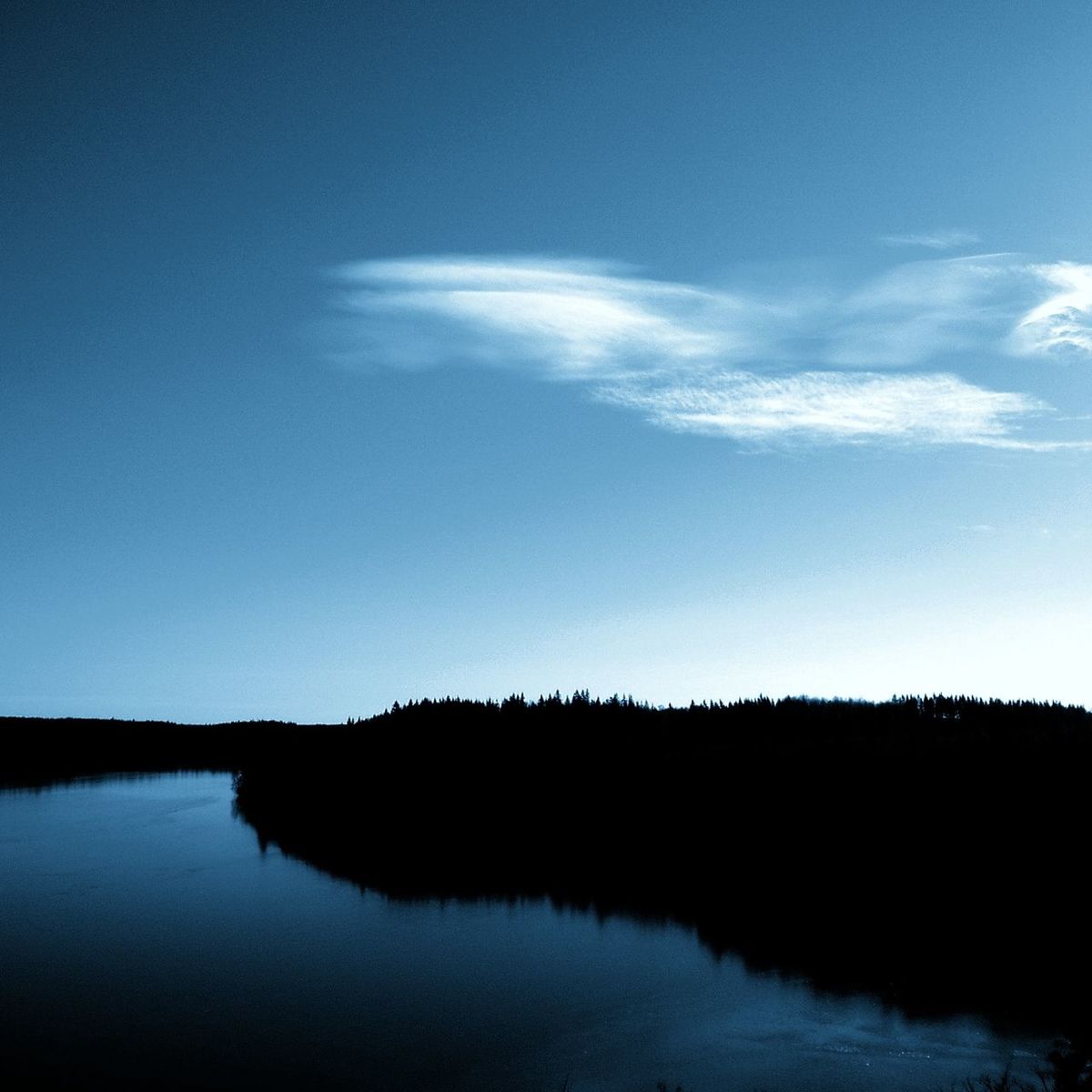 Dark forest against blue sky