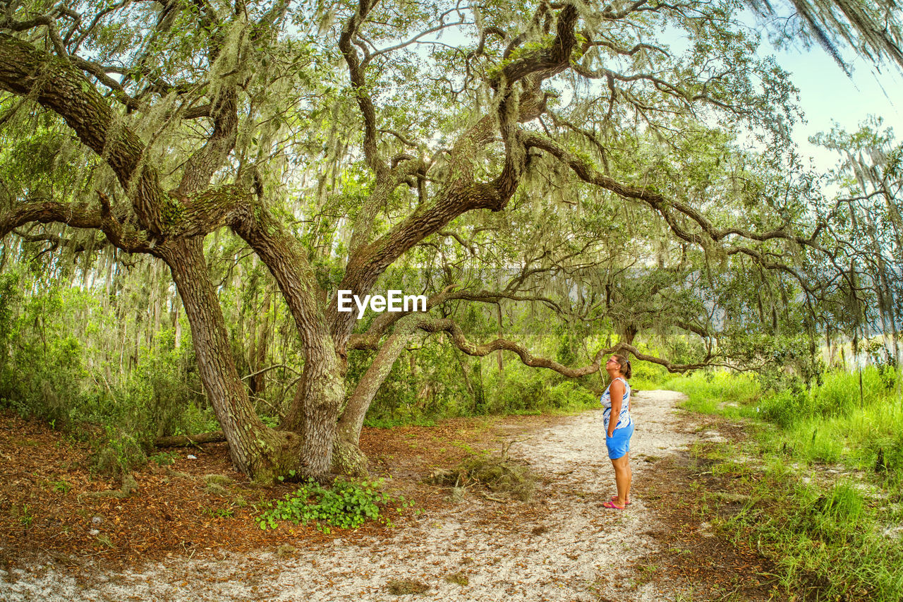 FULL LENGTH OF BOY STANDING IN TREE