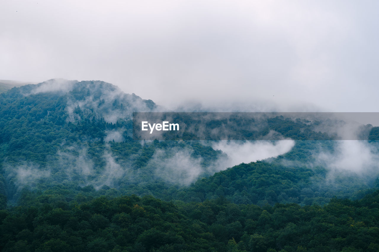 SCENIC VIEW OF FOG AGAINST SKY