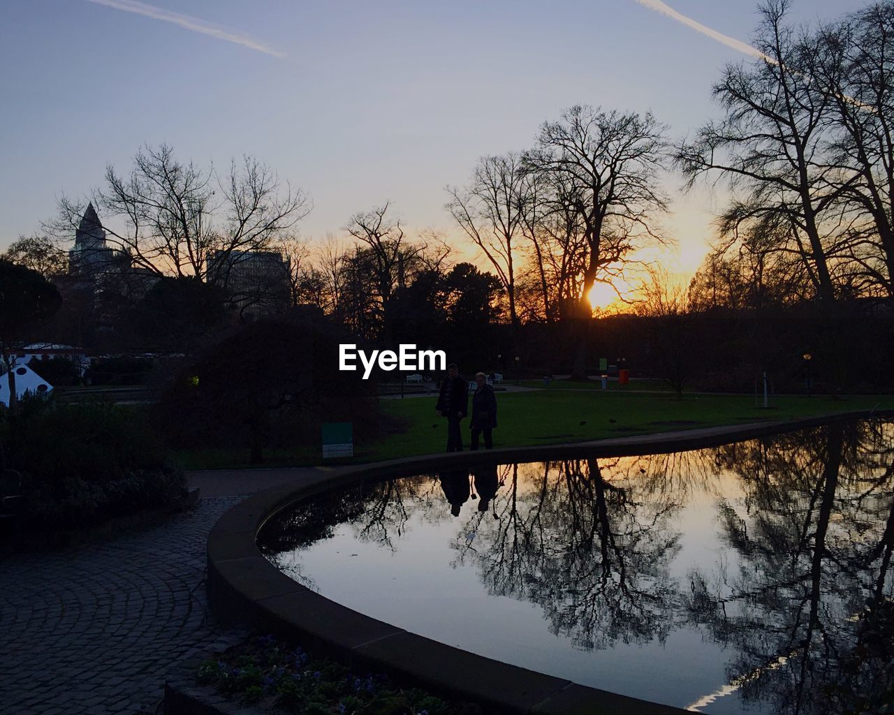 Silhouette of people walking in park