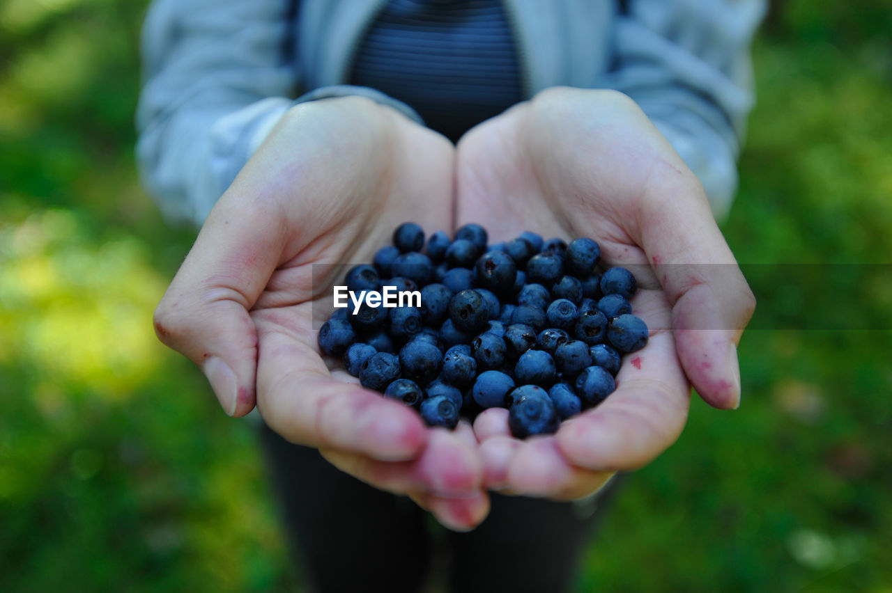 CLOSE-UP OF PERSON HOLDING FRUITS