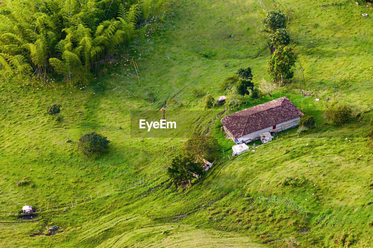 High angle view of trees and houses on field