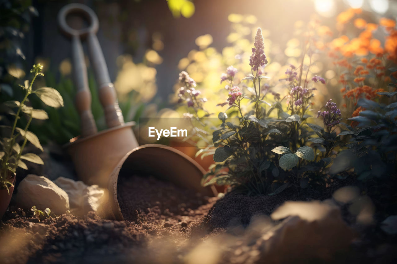 Floors with gardening tools, outdoor plants and flower pots generative ai
