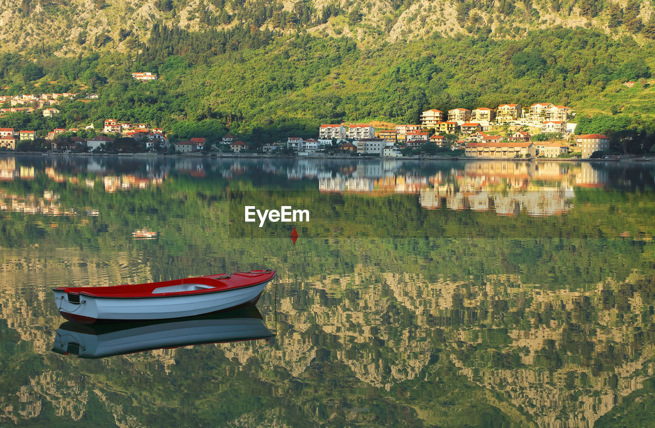 Boats moored on lake by trees