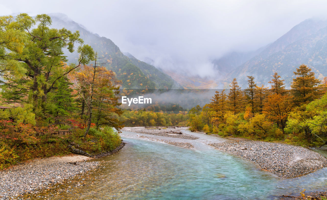 Scenic view of lake amidst trees against sky