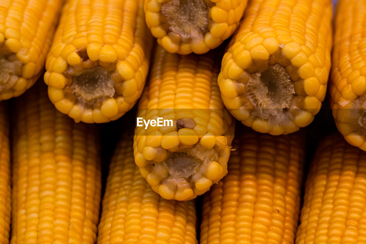 full frame shot of corns