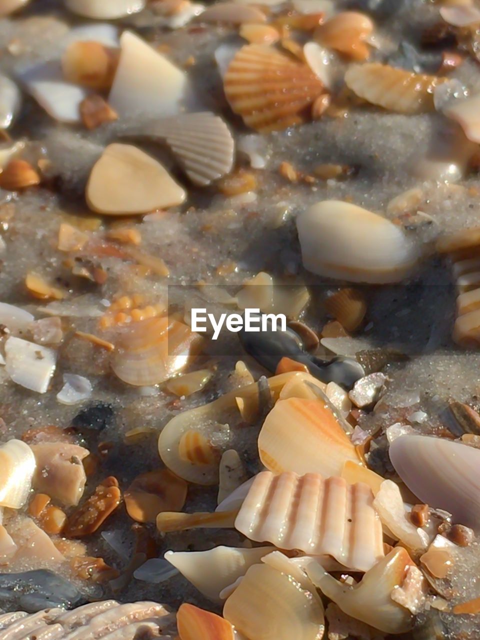 CLOSE-UP OF PEBBLES IN PEBBLE