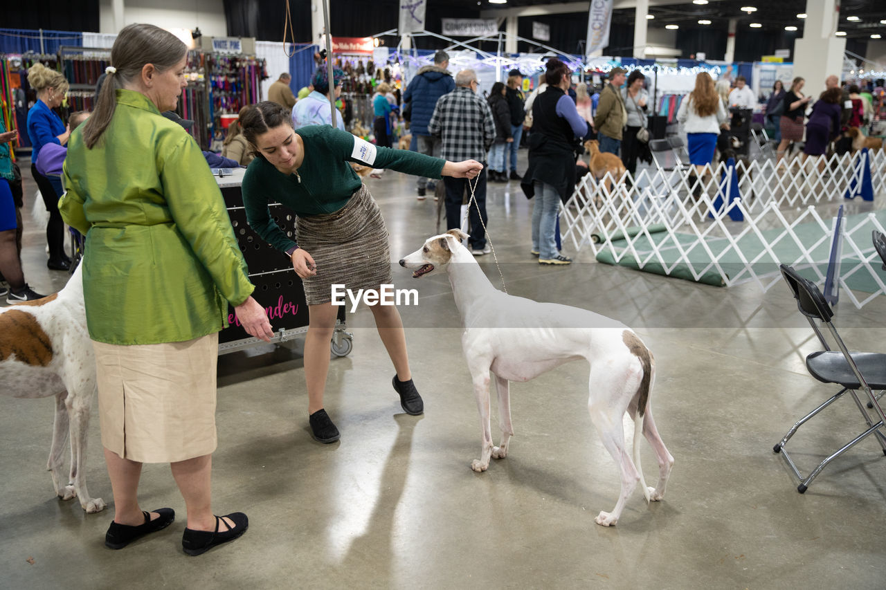 GROUP OF PEOPLE LOOKING AT DOGS AT MARKET