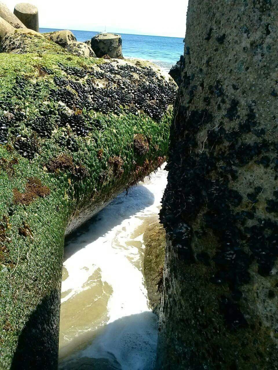 SCENIC VIEW OF SEA WITH ROCKS IN BACKGROUND