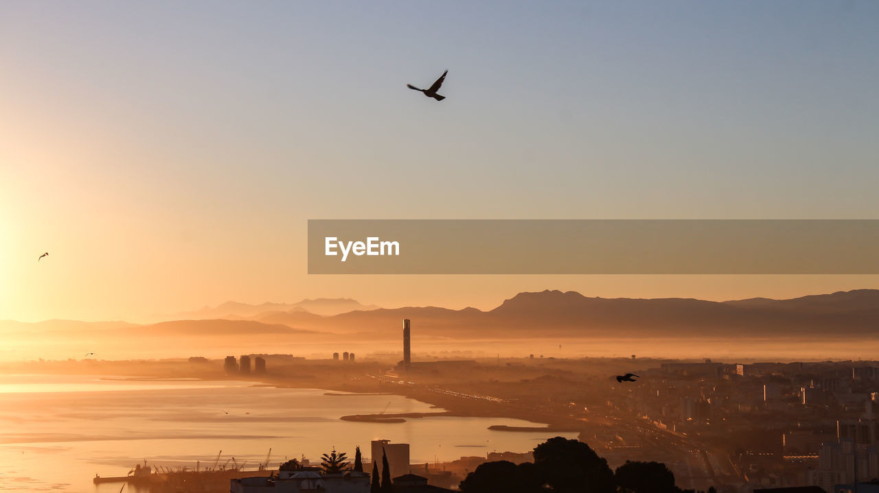 Bird flying over sea against clear sky during sunset