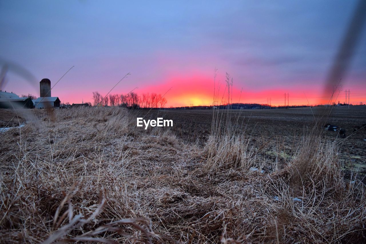 Scenic view of field against cloudy sky