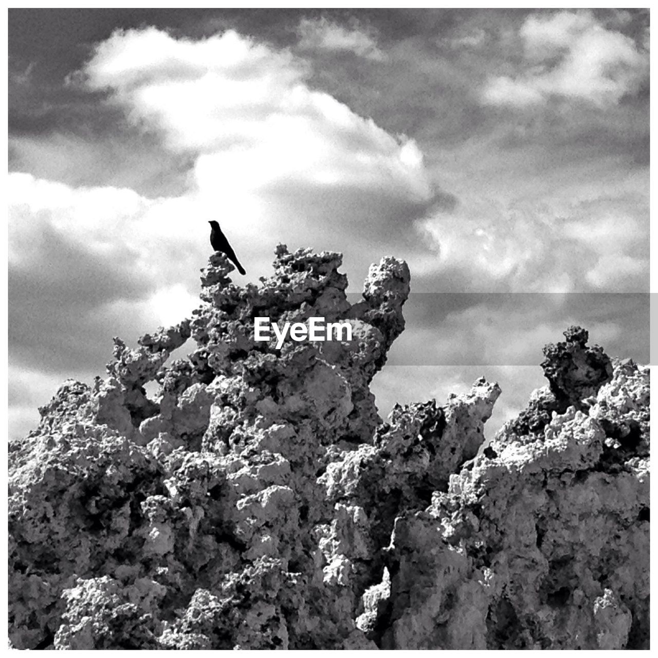 Low angle view of bird perching on rock formation against cloudy sky