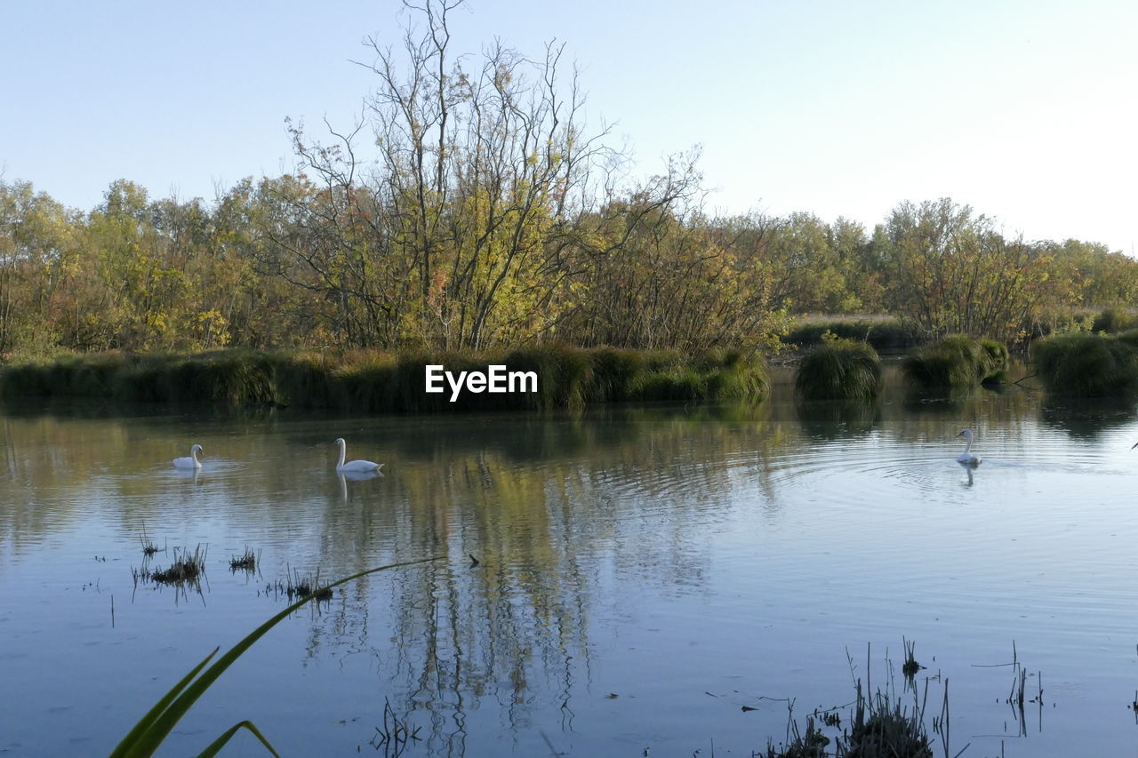 SCENIC VIEW OF LAKE WITH REFLECTION