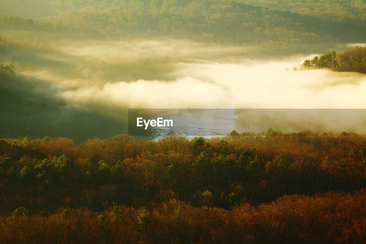 Scenic view of field against sky during sunset