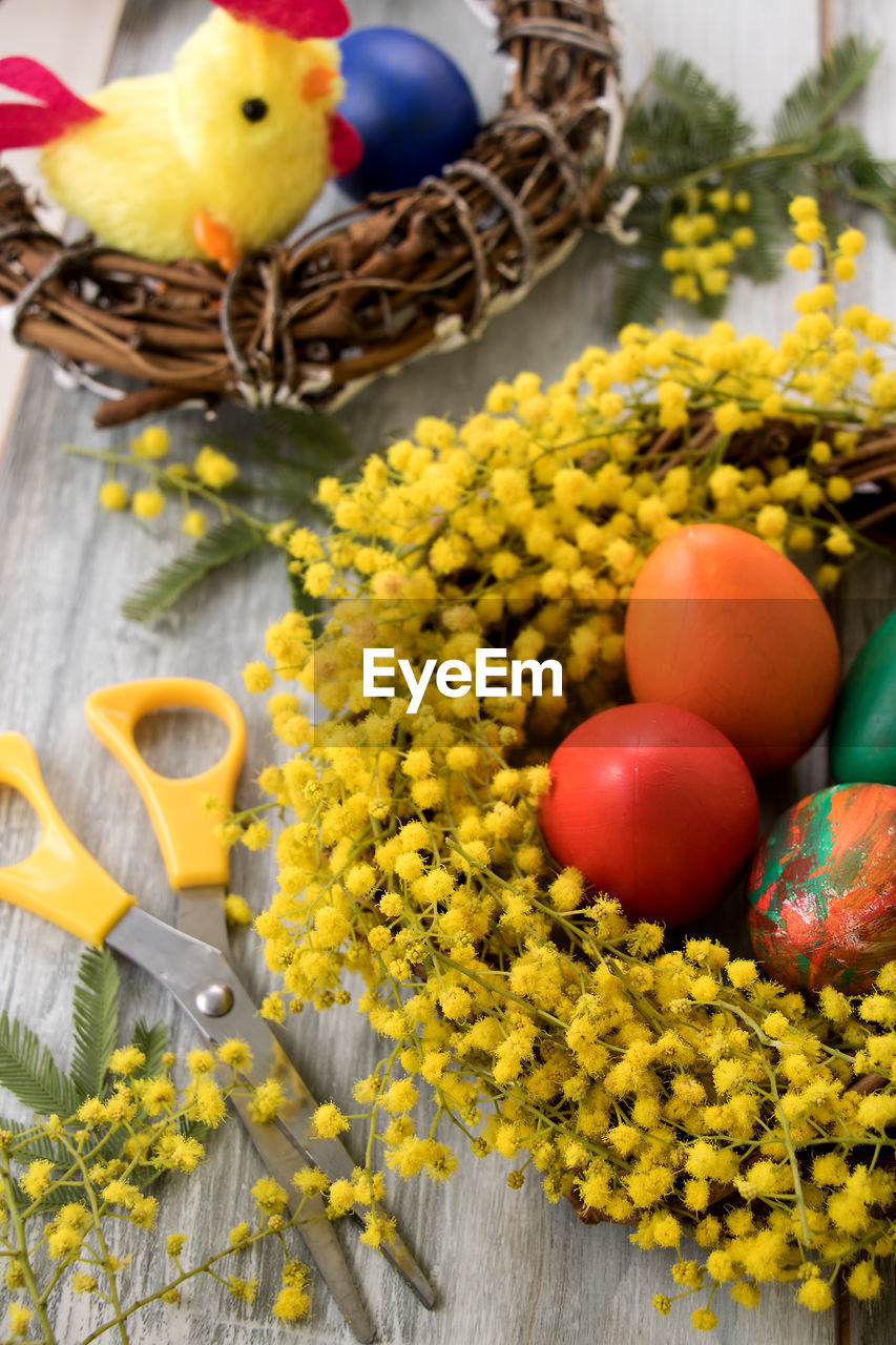 HIGH ANGLE VIEW OF BIRD ON YELLOW FLOWERS