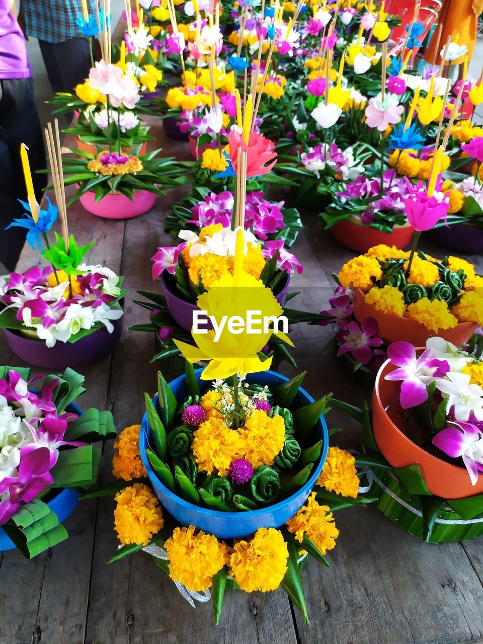 High angle view of various flower pot for sale